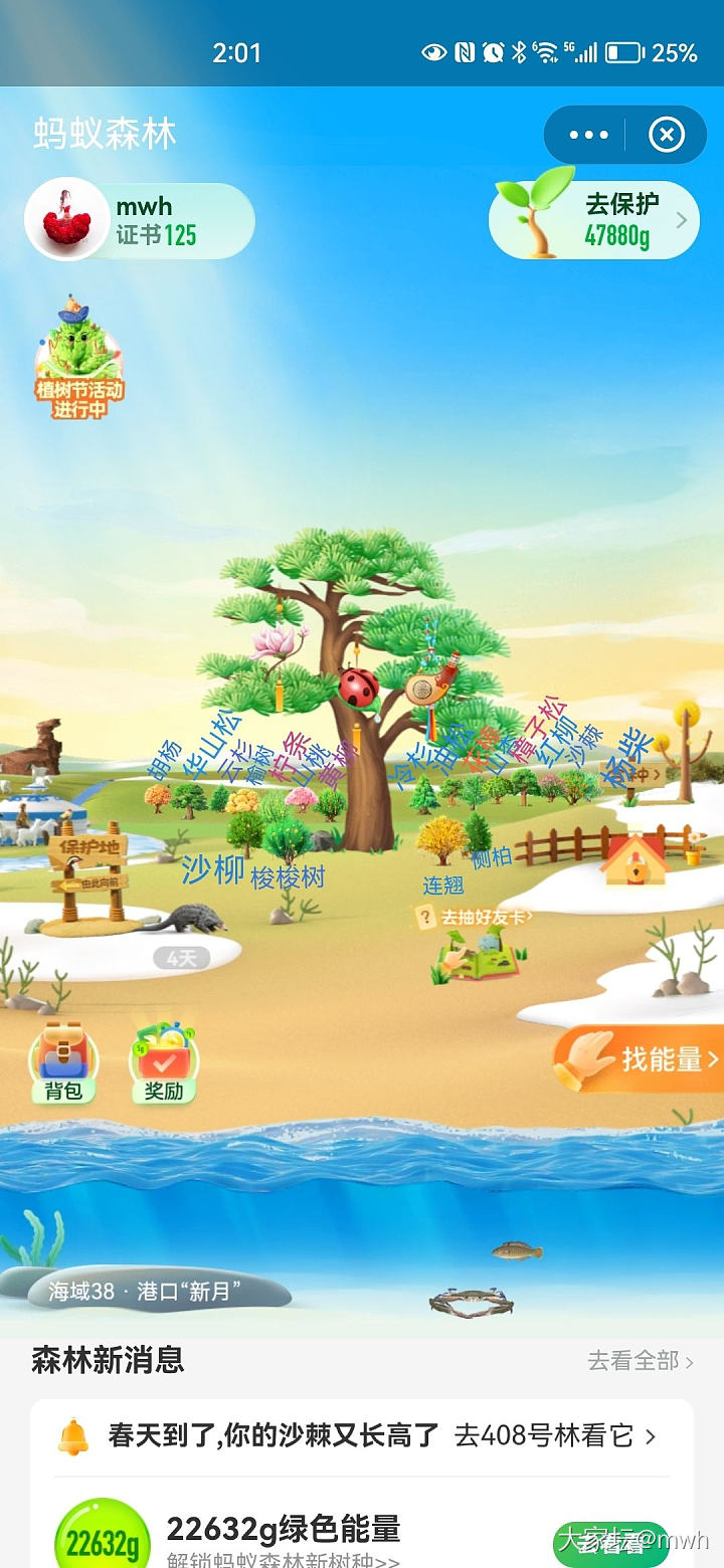 终于种上胡杨啦！_支付宝