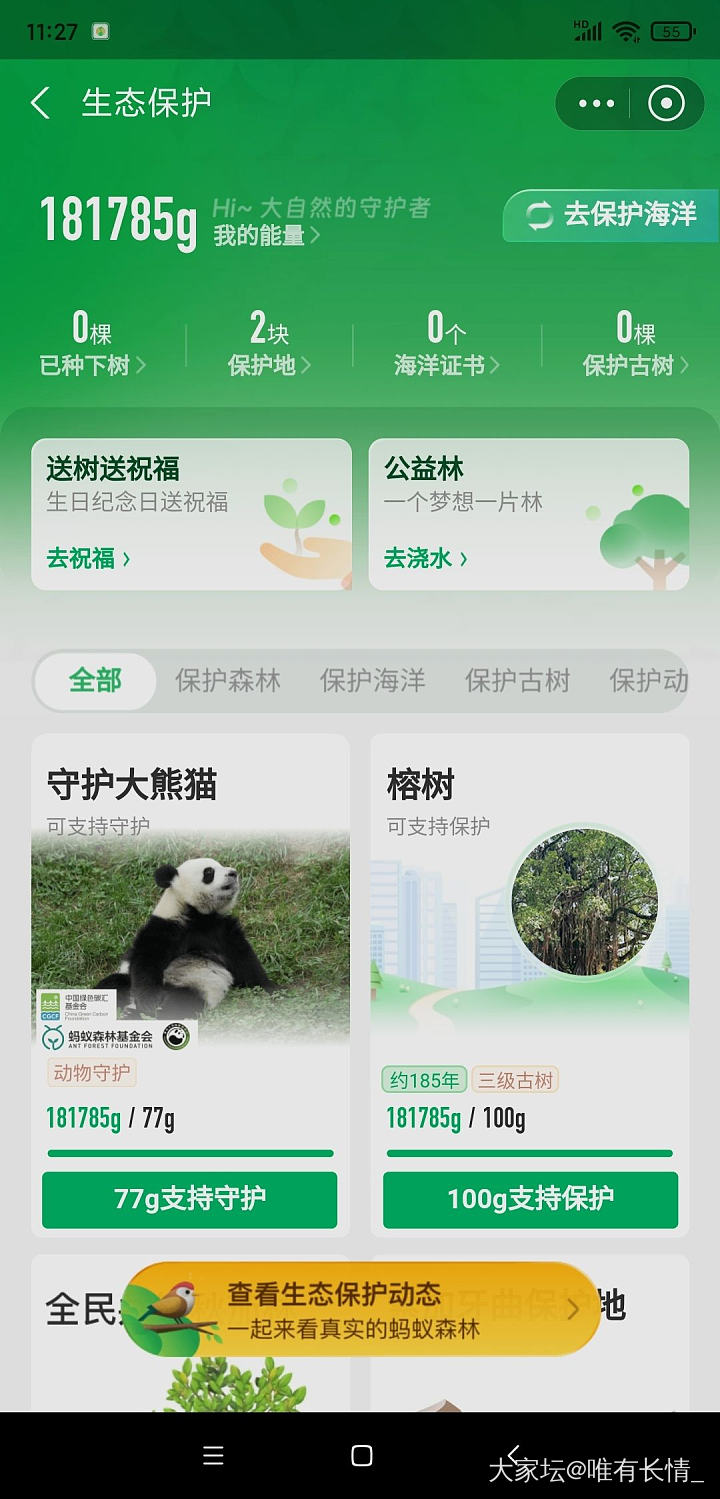 终于种上胡杨啦！_支付宝