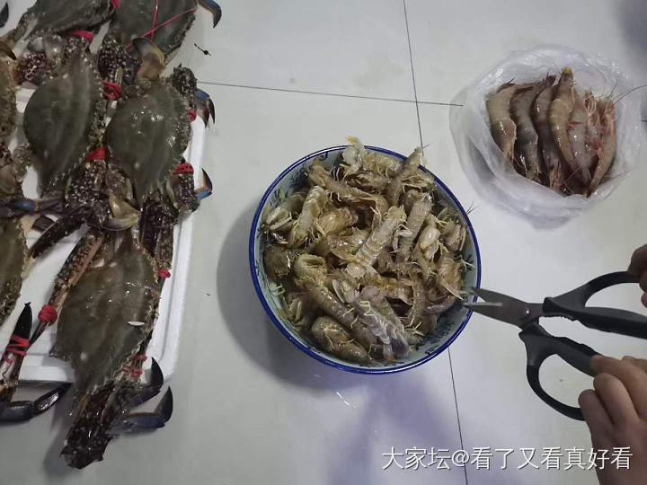 渤海湾鲜美的大螃蟹和虾爬子_食材