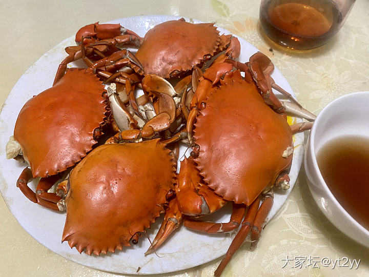 女儿最爱的螃蟹，队友尝试做的莲藕馅饺子_厨艺美食