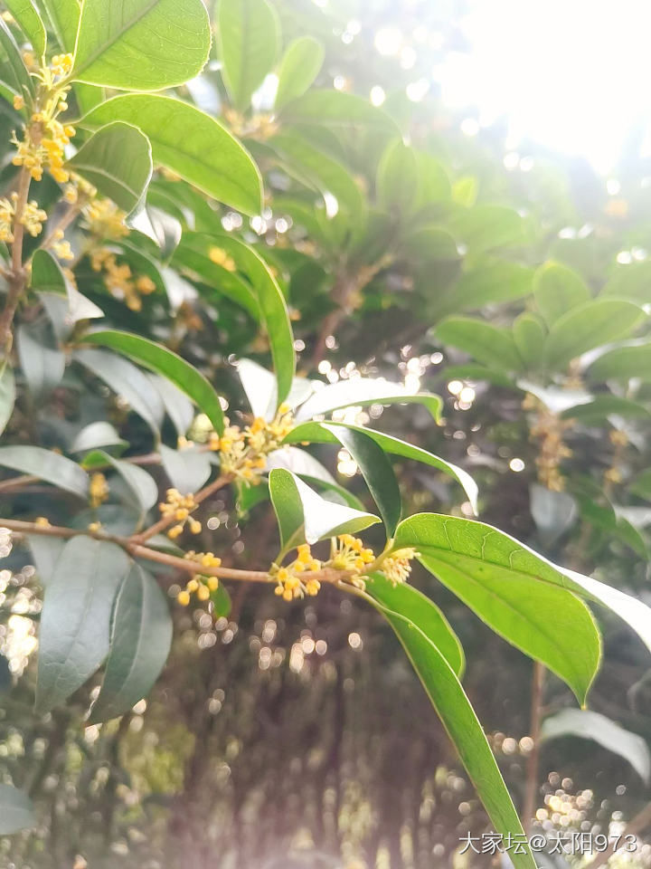 植物园走起_旅游