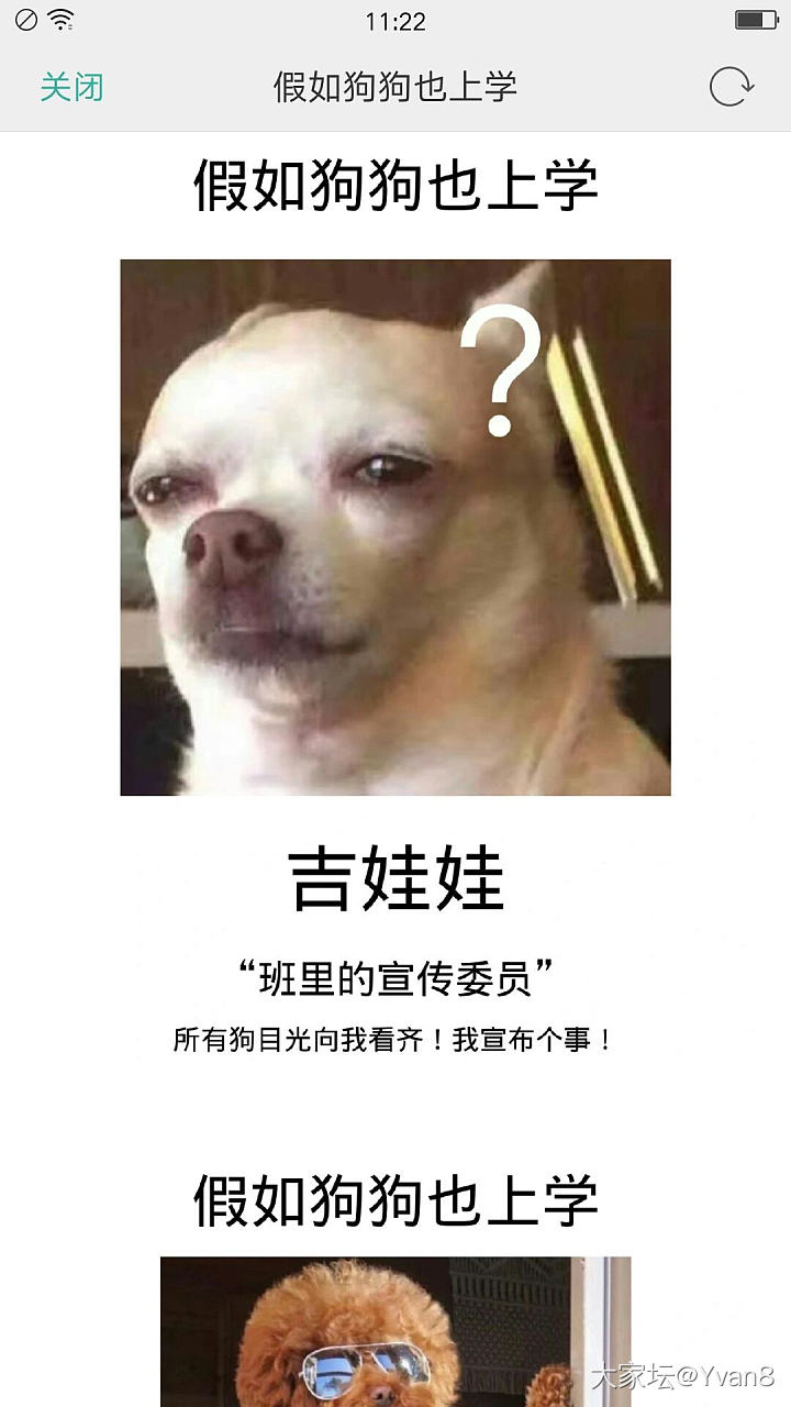 如果狗狗去上学_狗