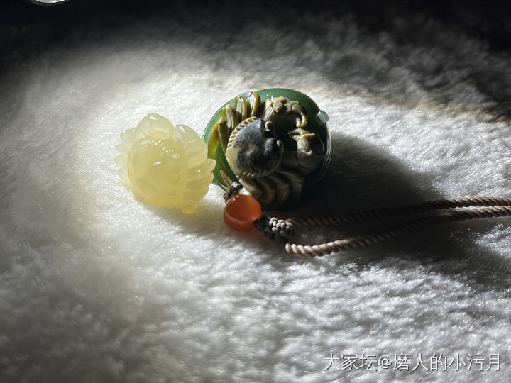 谁家的螃蟹🦀跑出来了🌚🌚🌚_碧玉和田玉