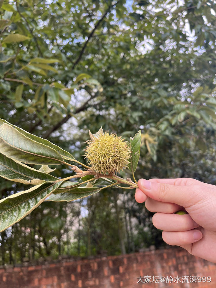 乡下好好啊，_旅游