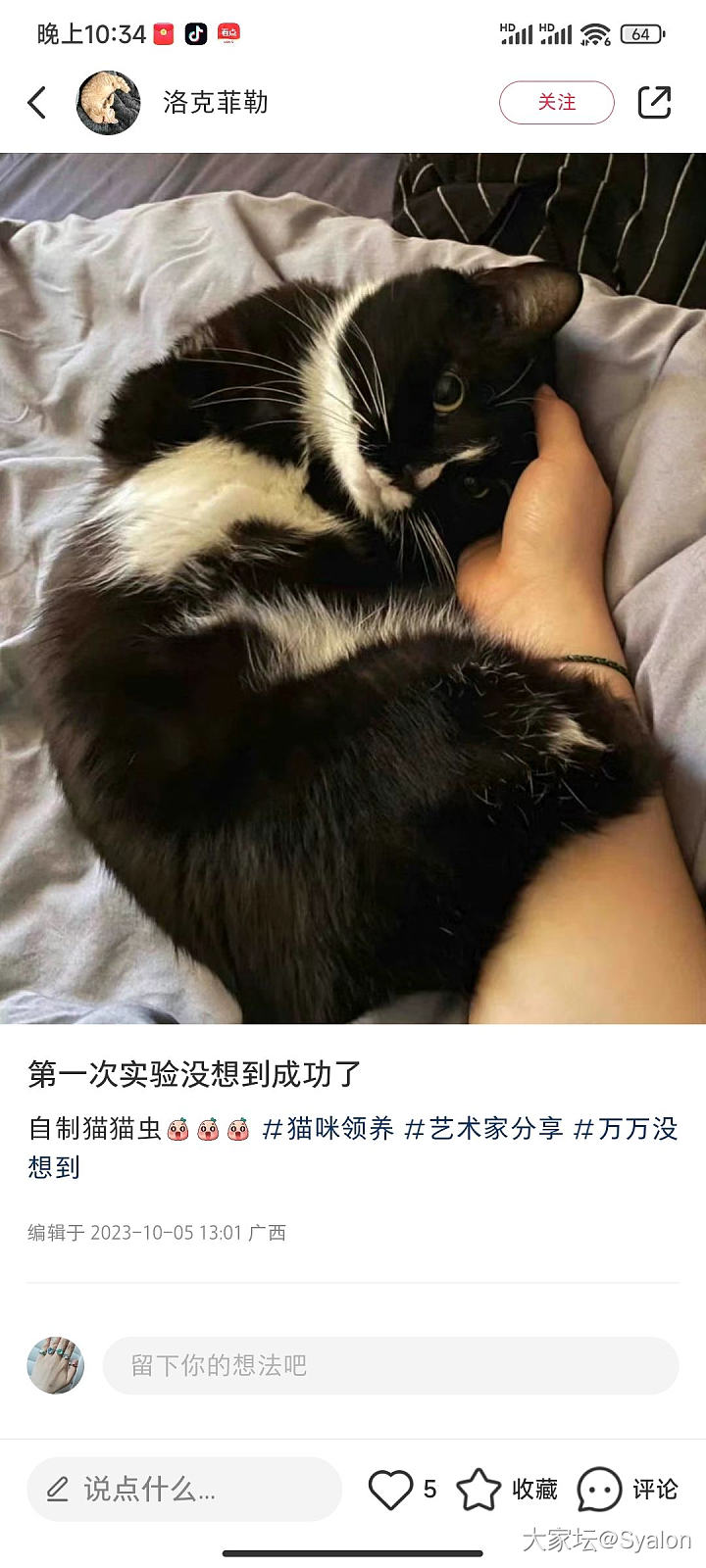 看手这恶魔还是个女的_猫