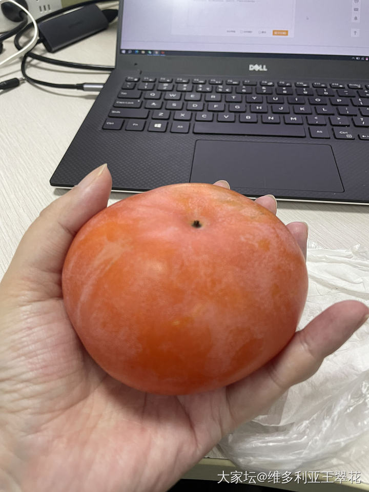 柿子上市的季节_水果