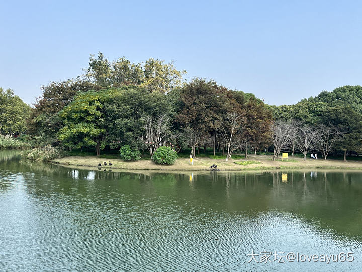 天气好逛公园 看牡丹赏天鹅湖，秀一秀显眼包戒指！_戒指金