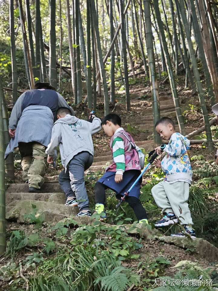 秋日徒步_旅游