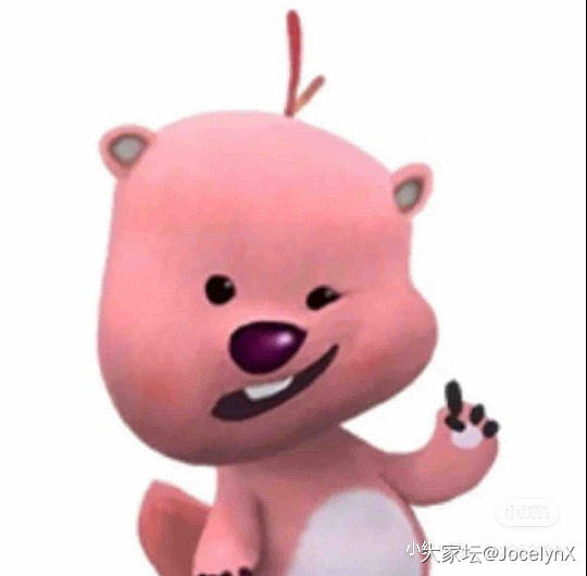有姐妹喜欢loopy嘛😚_手工diy