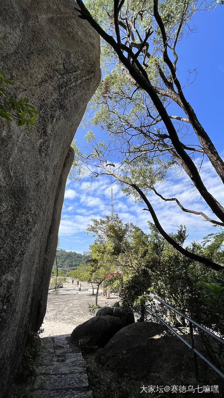 重阳登高望远_旅游