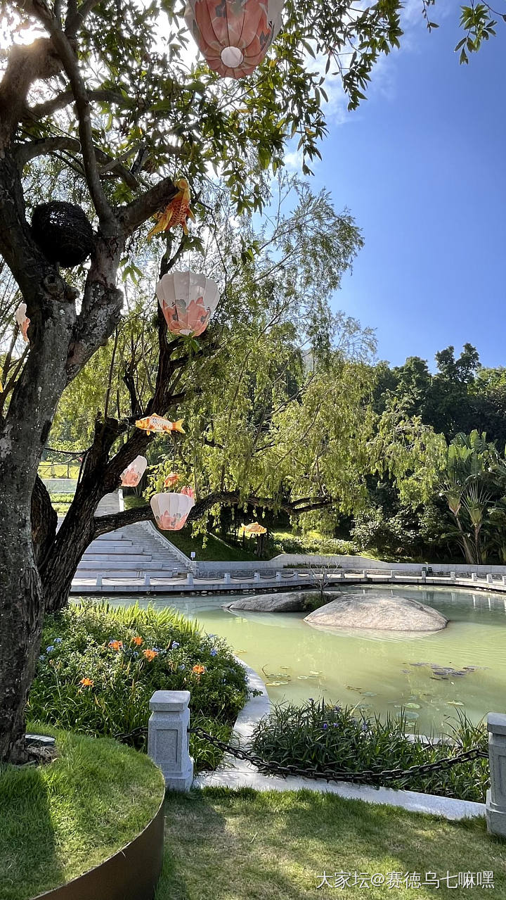 重阳登高望远_旅游