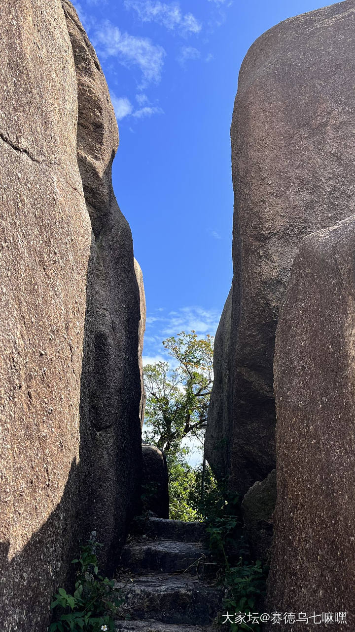 重阳登高望远_旅游