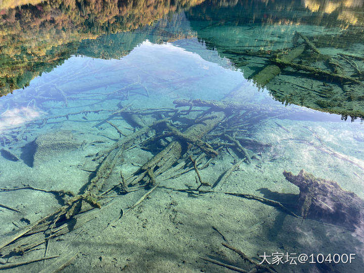 10月24日 九寨沟之行。这个季节的九寨沟景色真不错，真的好好看！_旅游生活