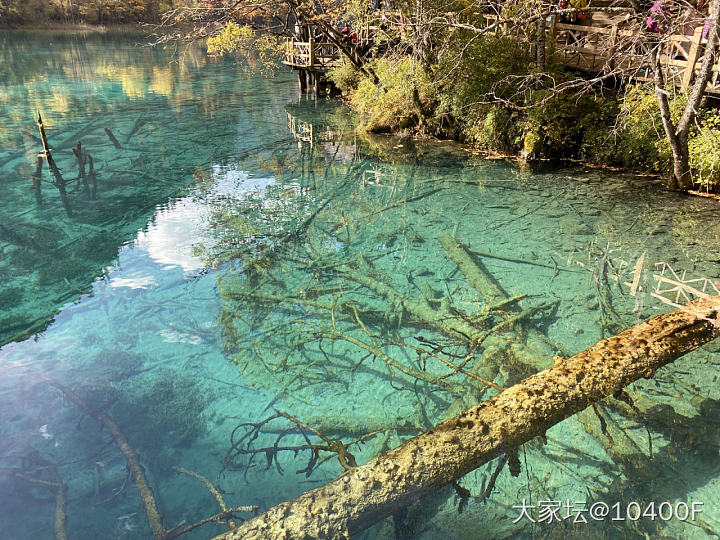 10月24日 九寨沟之行。这个季节的九寨沟景色真不错，真的好好看！_旅游生活