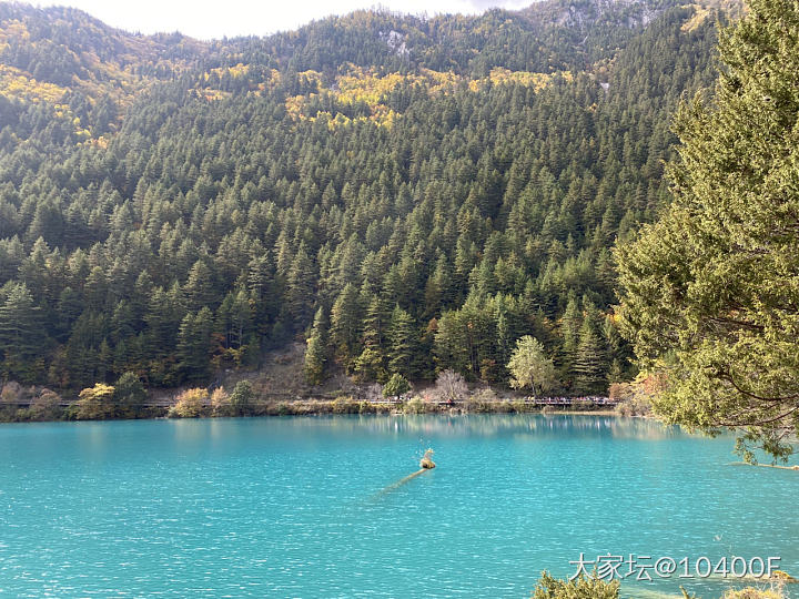 10月24日 九寨沟之行。这个季节的九寨沟景色真不错，真的好好看！_旅游生活