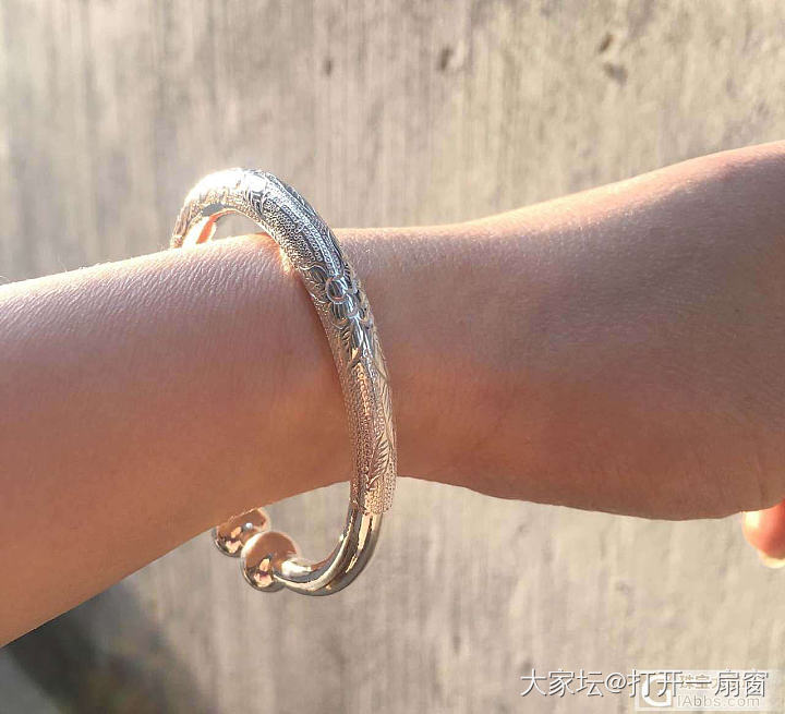 如果必须有一只南记_银