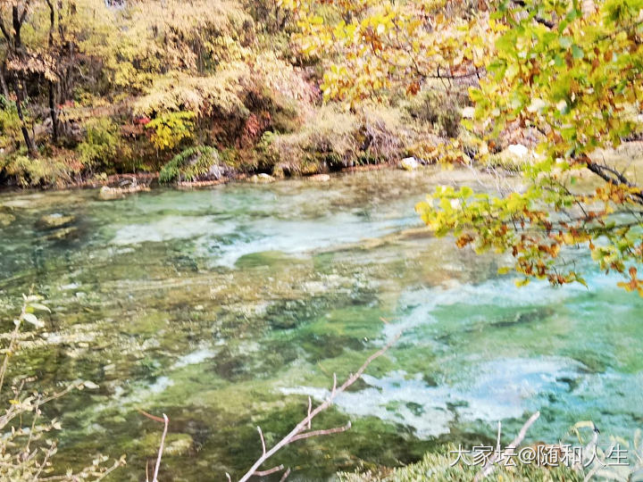 九寨沟太废腿了，眼睛也不够用_旅游