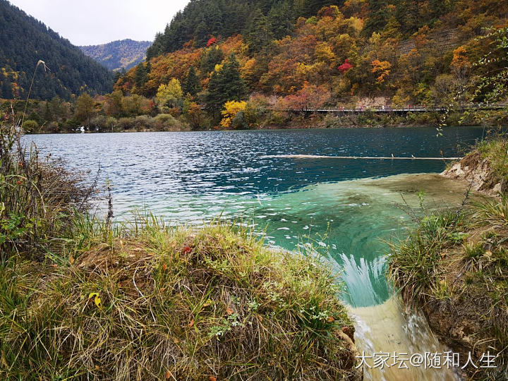 九寨沟太废腿了，眼睛也不够用_旅游