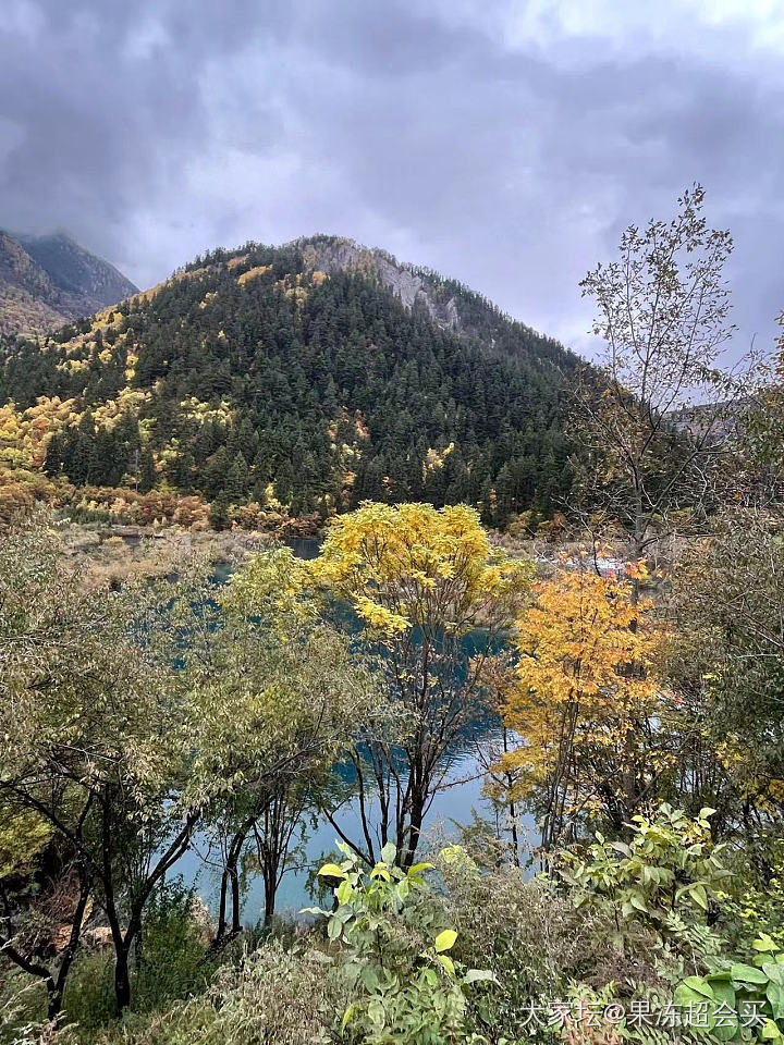 九寨沟太废腿了，眼睛也不够用_旅游