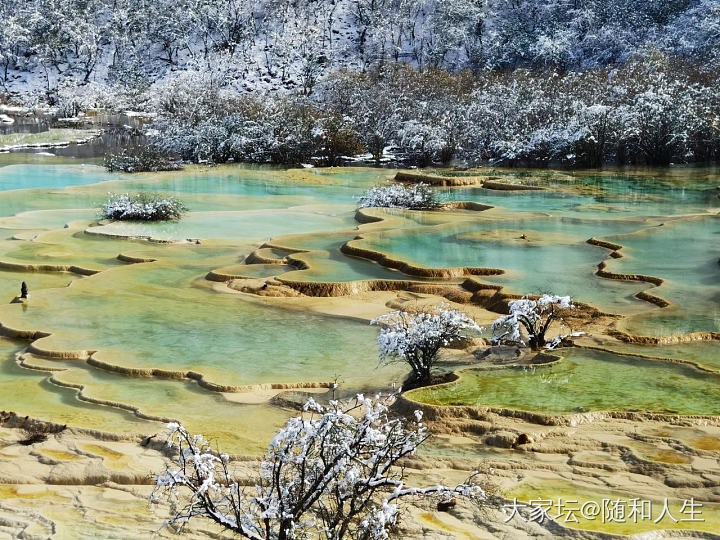 去了九寨沟，当然要去黄龙_旅游