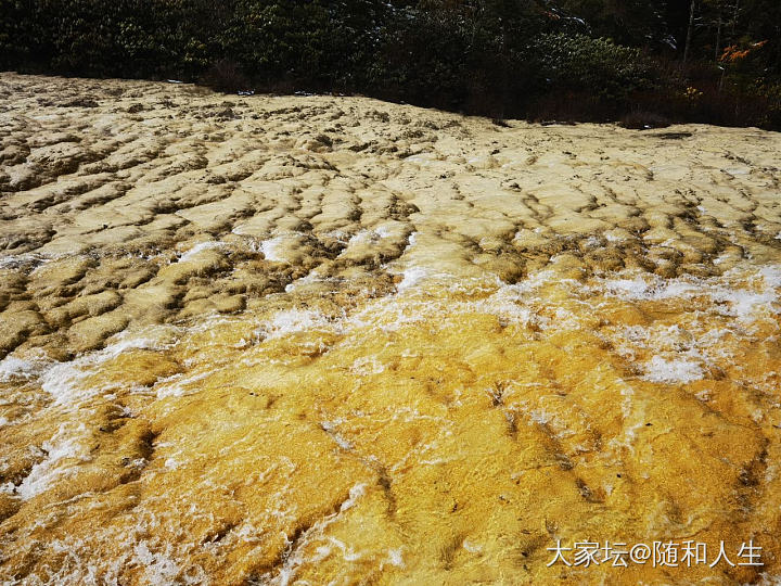 去了九寨沟，当然要去黄龙_旅游