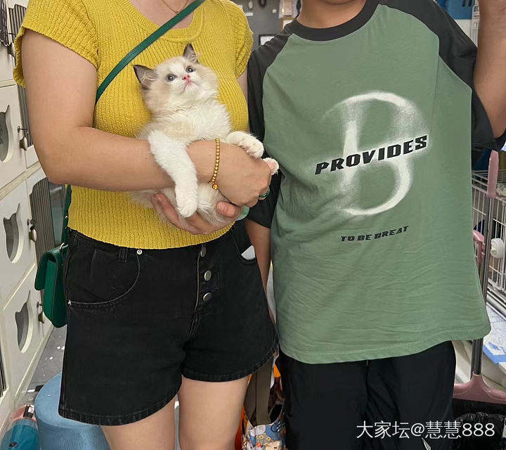 小可爱三个多月长大了这么多_猫