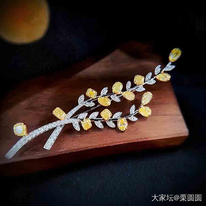 宝子们，请晒出你们认为好看的胸针吧。_翡翠和田玉银金
