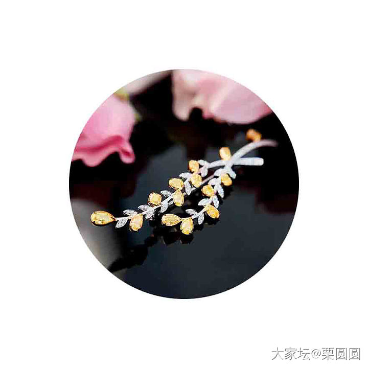 宝子们，请晒出你们认为好看的胸针吧。_翡翠和田玉银金