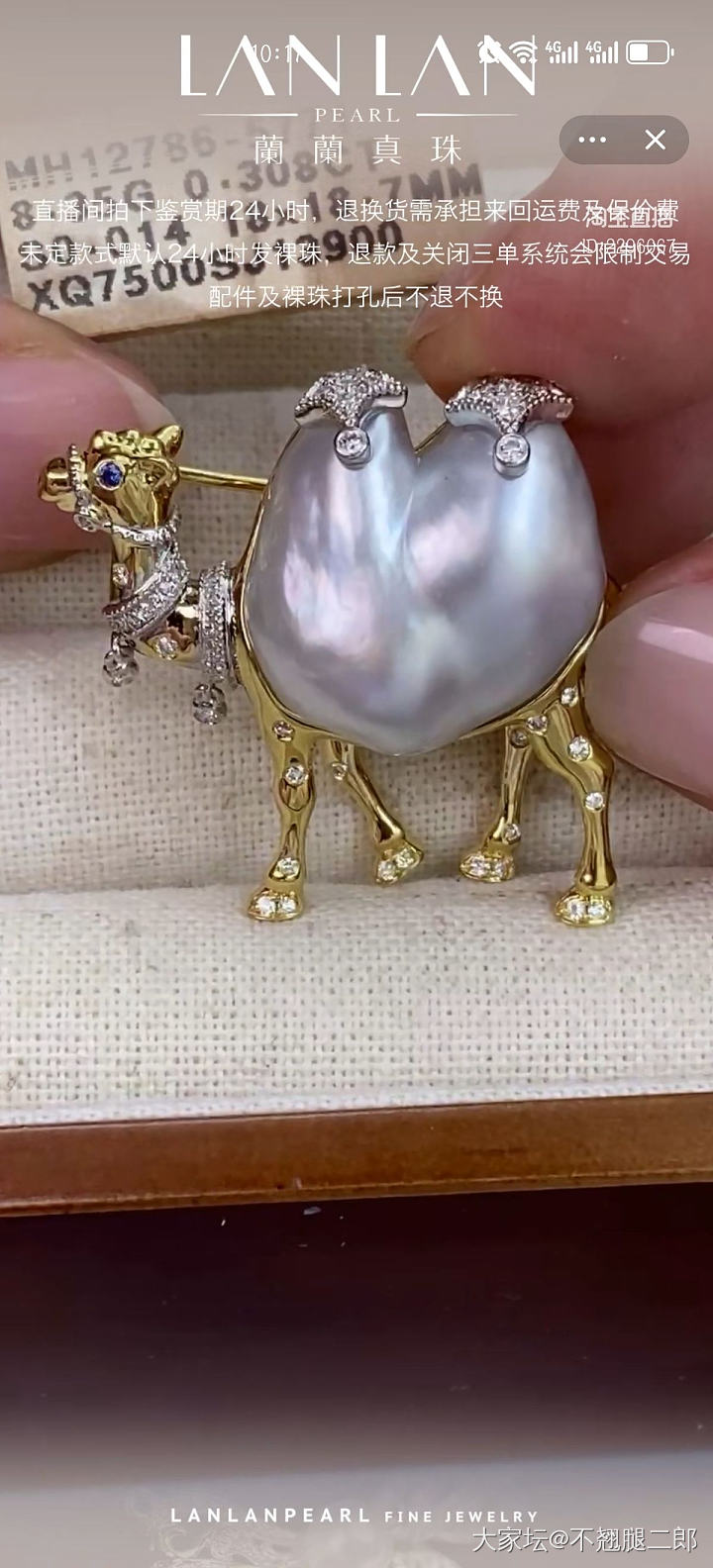宝子们，请晒出你们认为好看的胸针吧。_翡翠和田玉银金