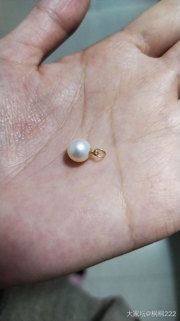 羊毛蝴蝶结耳钉，配珍珠绝美_珍珠金