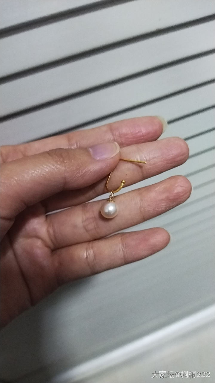 羊毛蝴蝶结耳钉，配珍珠绝美_珍珠金