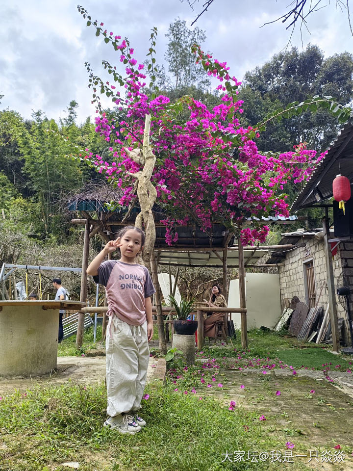 饶平晒柿饼基地逛一下，在福建和广东交界的一个农家乐吃一下饭。_美食