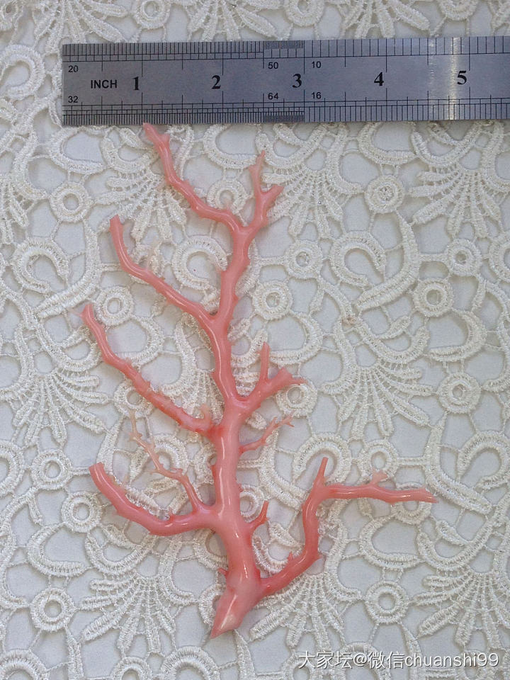 粉珊瑚 天使肌珊瑚树 超级美只要1700_有机宝石