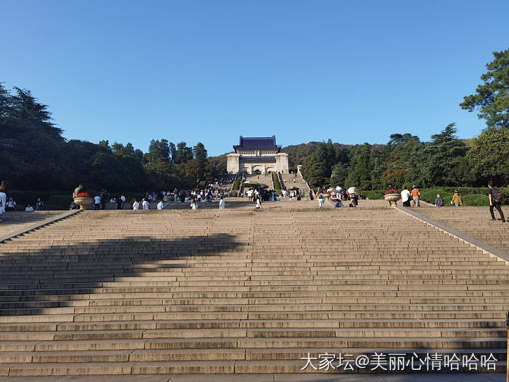 南京中山陵最美八百米_旅游景色