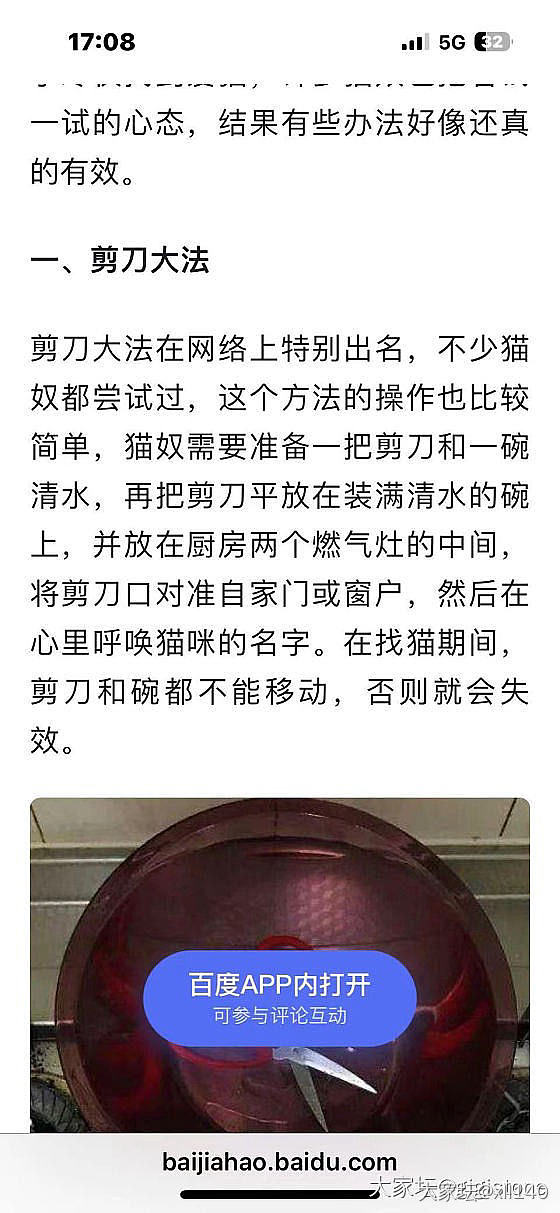 我家猫放在妈妈家养的，昨晚跑丢了，还能找到吗？_猫