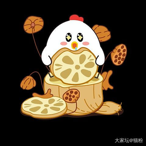 香奶奶家今年的新款，看不懂呀_香奈儿穿搭