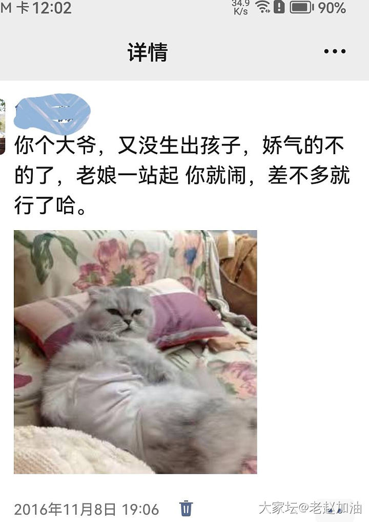 有点焦虑。。。这周末要带其中一个做绝育去了_猫宠物