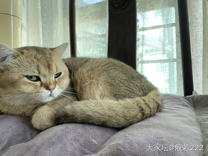 消费降级，我是真的很久不晒宝贝了_珠串松石