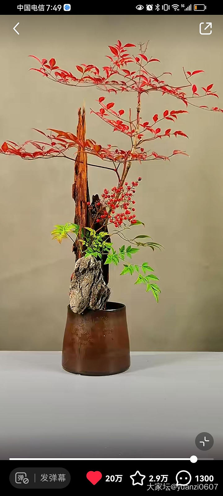 小红书龚老师插花作品_闲聊