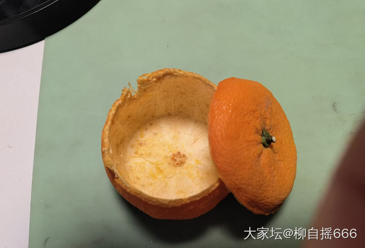 跟风做的橘皮收纳盒🍊_文玩