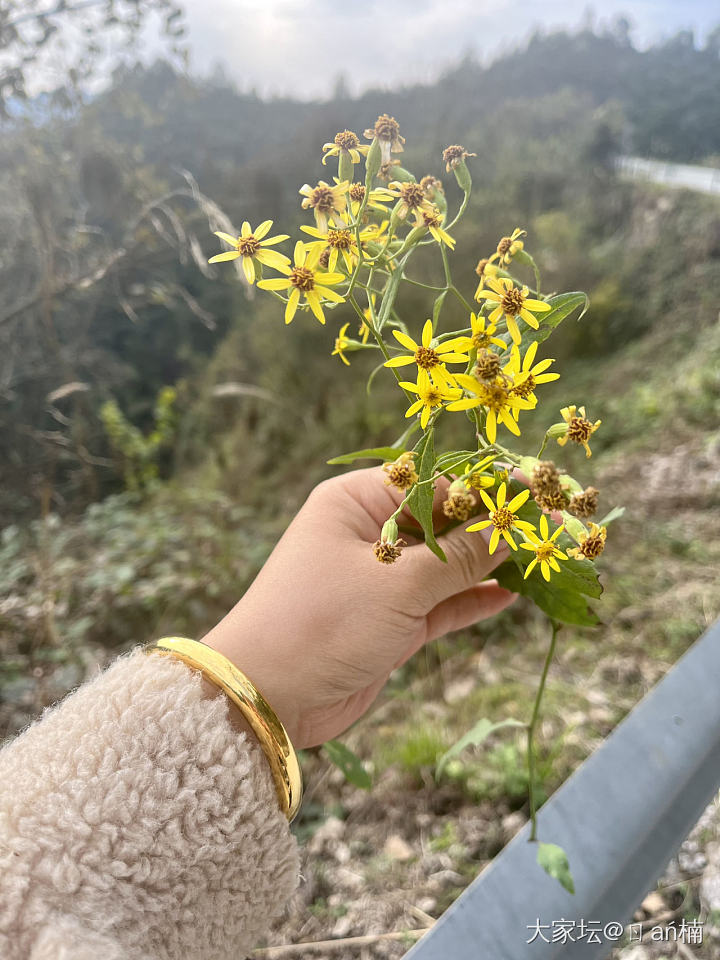 下乡的一天，天气真好🌞_旅游