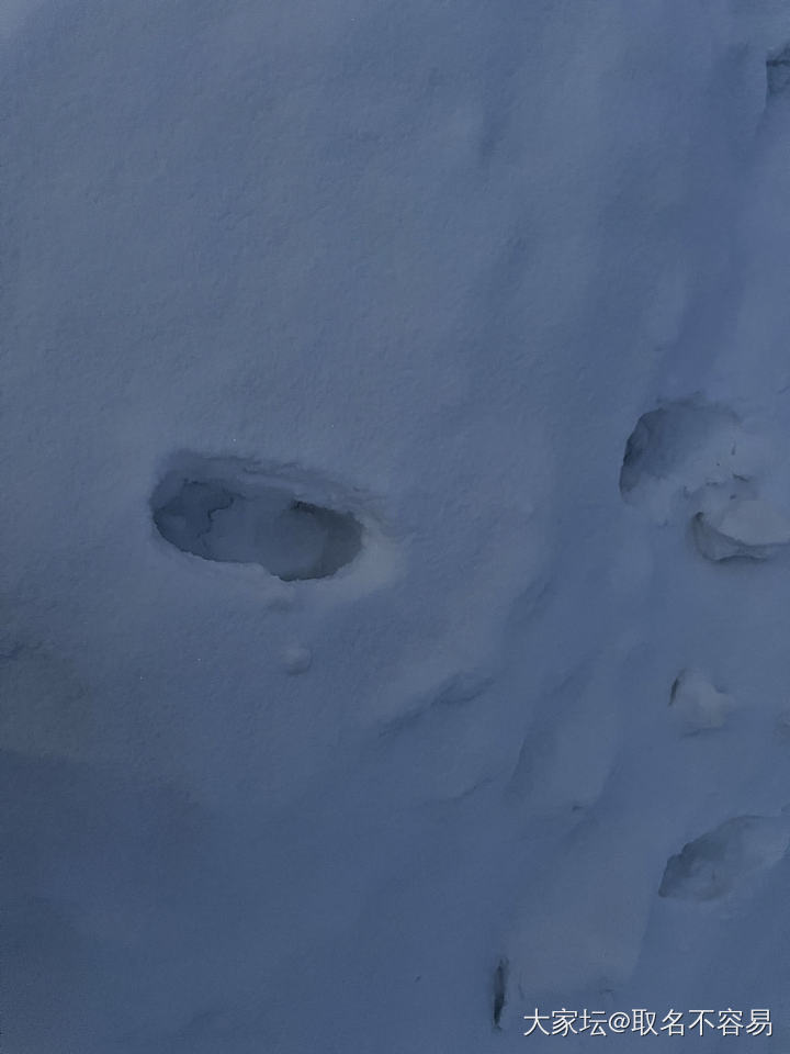 第一次见识北方的冰天雪地_旅游生活