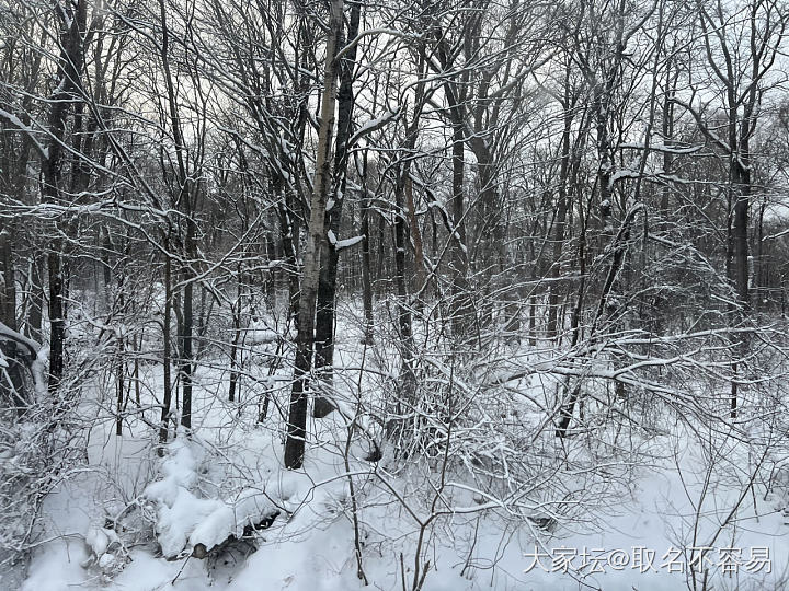 第一次见识北方的冰天雪地_旅游生活