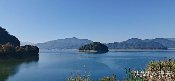 又双叒叕搭上顺风车去观光_旅游美食植物