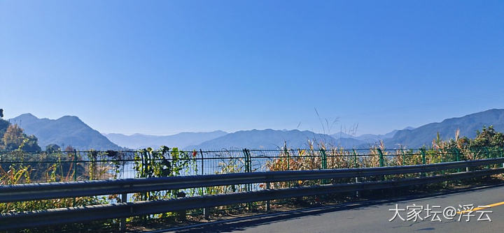 又双叒叕搭上顺风车去观光_旅游美食植物