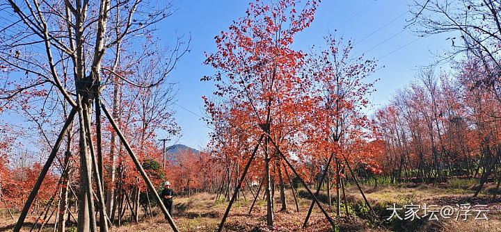 又双叒叕搭上顺风车去观光_旅游美食植物