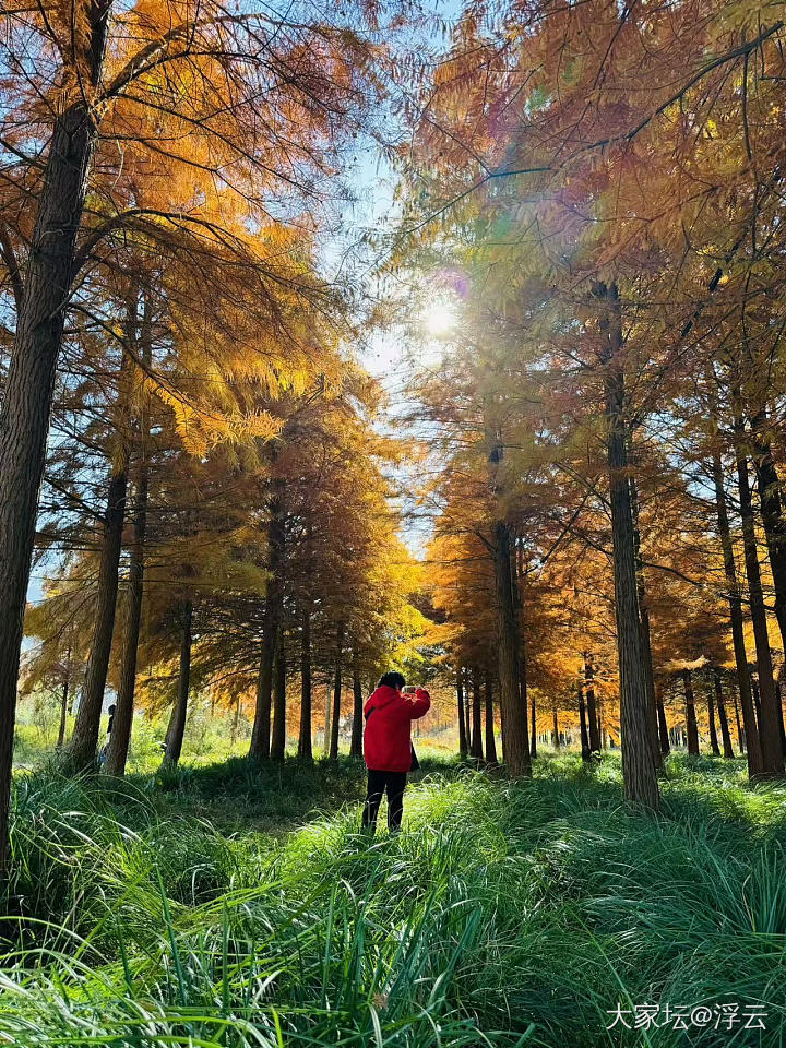 又双叒叕搭上顺风车去观光_旅游美食植物