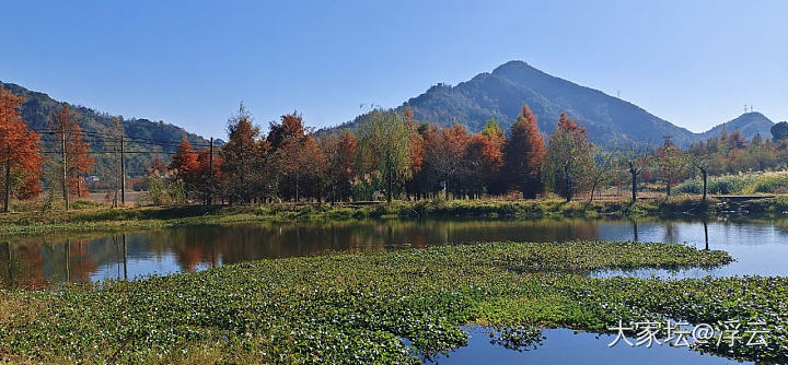 又双叒叕搭上顺风车去观光_旅游美食植物