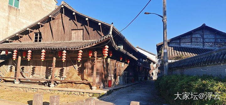 又双叒叕搭上顺风车去观光_旅游美食植物