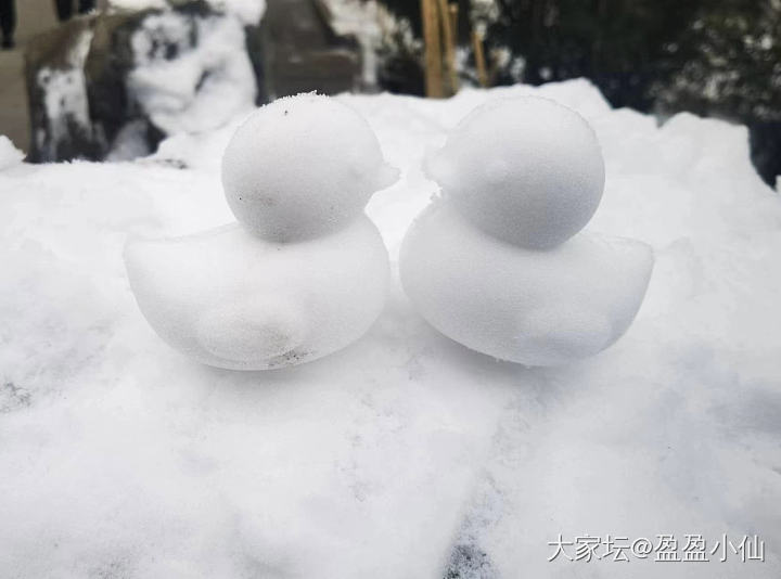 故宫初雪，景山远眺🏮_手镯金